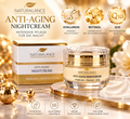 NATURALANCE Anti-Aging Nightcream – Hyaluron + Retinol + Q10